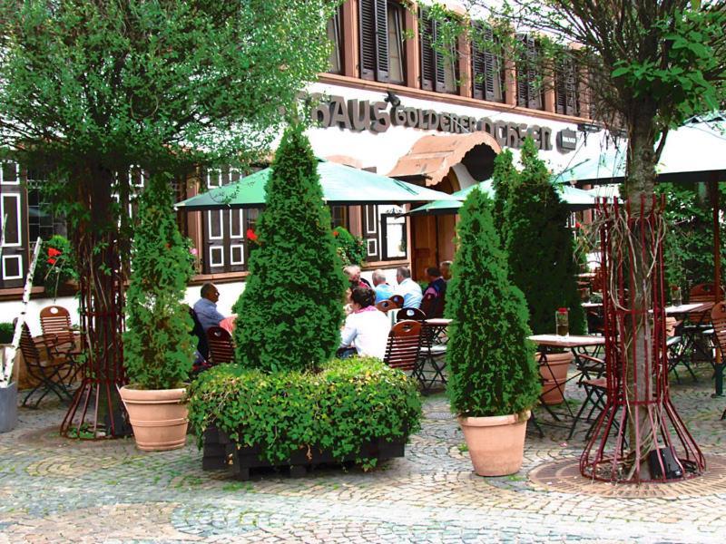 Hotel Zum Goldenen Ochsen Maikammer Dış mekan fotoğraf